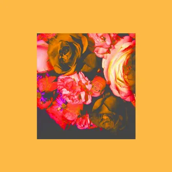 Floral - EP by Phendrana