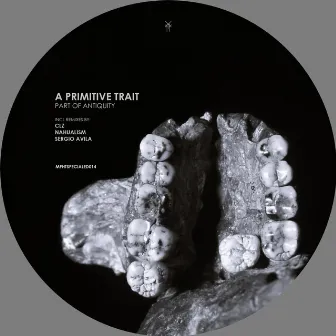 Part Of Antiquity [Incl Remixes] by A Primitive Trait