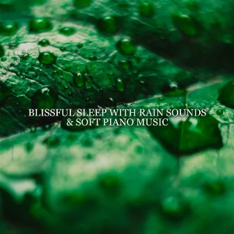 Blissful Sleep with Rain Sounds & Soft Piano Music – Dream Time Music, Piano Lullabies, Music for Deep Sleep, Tension Release, Tranquility, Healing Sounds of Rain by Natural Zen Meditation White Noise