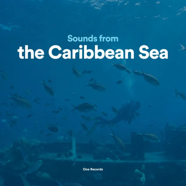 Sounds from the Caribbean Sea