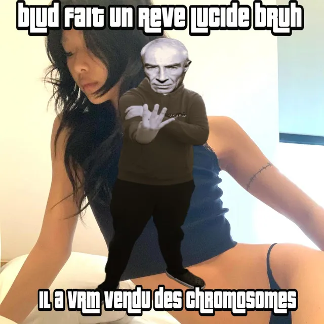 Blud Fait Un Rêve Lucide Bruh Il A Vrm Vendu Des Chromosomes