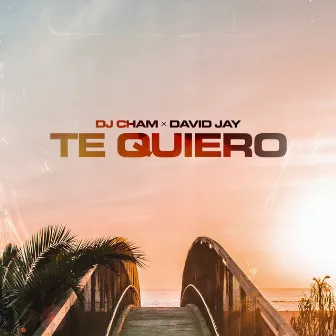 Te Quiero by Dj Cham