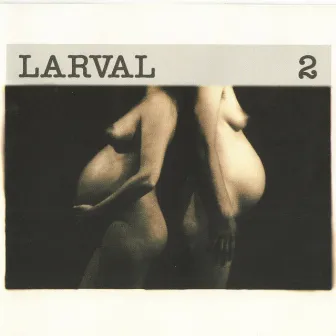 2 by Larval