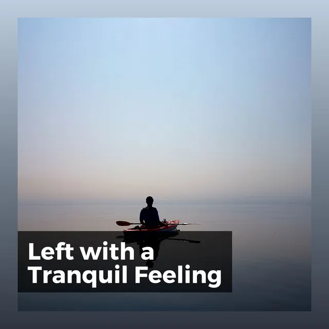 Left with a Tranquil Feeling