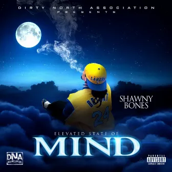 Elevated State of Mind by Shawny Bones