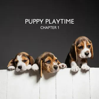 Puppy Playtime Chapter 1 – Cuddles And Love Jazz Music by Pet Jazz Club