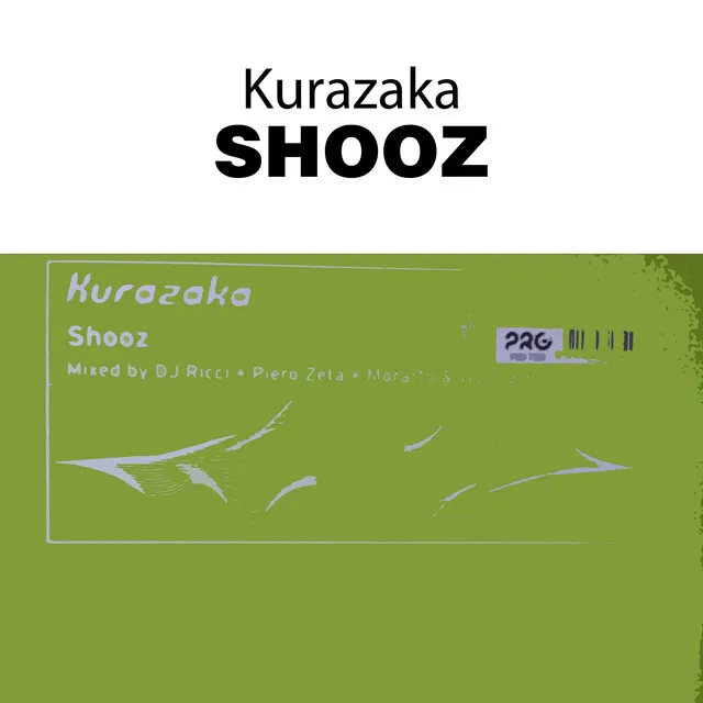 Shooz - Dj Ricci Mix