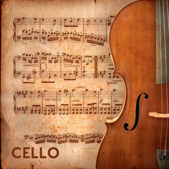 Sonata for Cello Duet in D Major, Op. 1 No. 5: III. Allegro