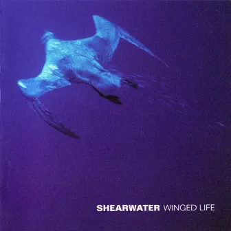 Winged Life by Shearwater