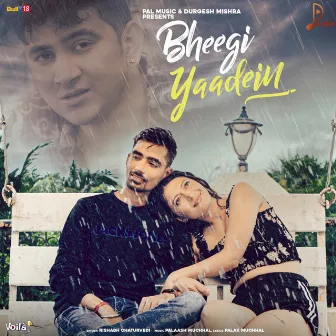 Bheegi Yaadein by Rishabh Chaturvedi