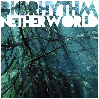 Netherworld by Biorhythm