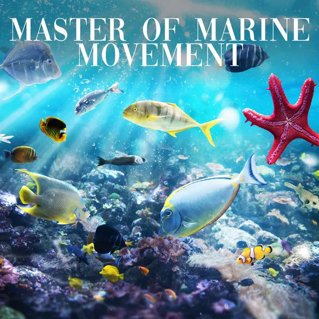 Master of Marine Movement