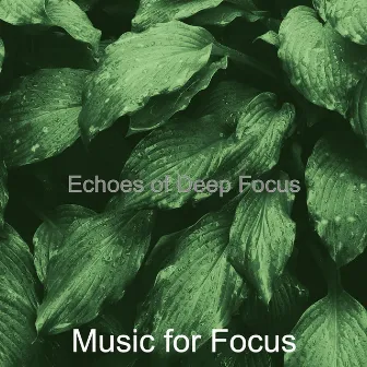 Echoes of Deep Focus by Unknown Artist