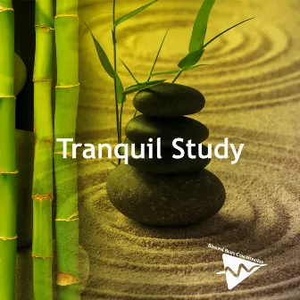 Tranquil Study by Binaural Beats Concentration