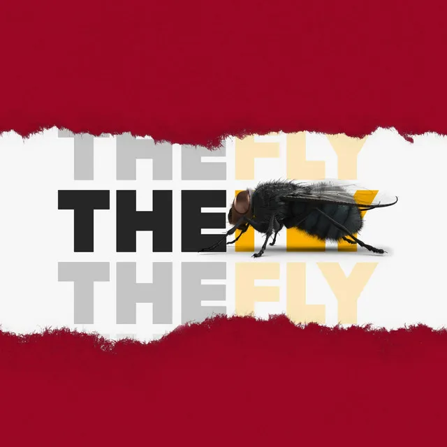 The Fly