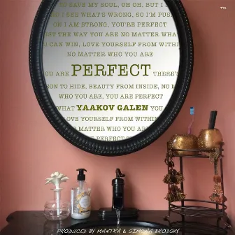 Perfect by Yaakov Galen