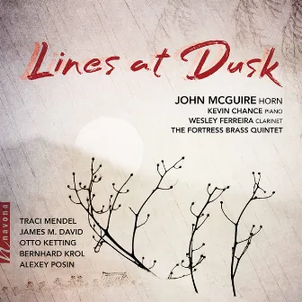 Lines at Dusk by John Mcguire