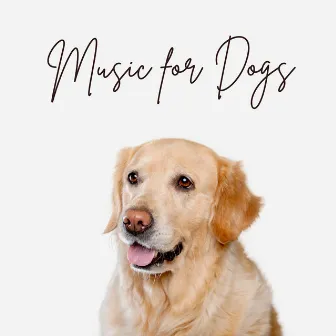 Music For Dogs by Peaceful Music For Pets