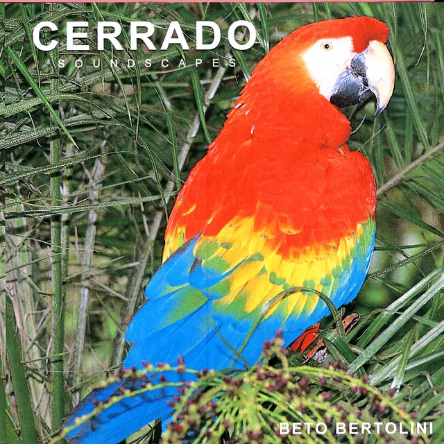 Cerrado-03