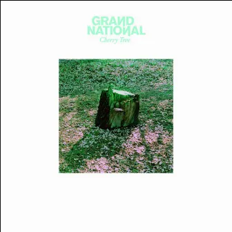 Cherry Tree by Grand National