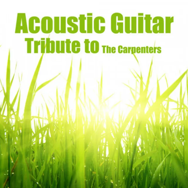 Acoustic Guitar: Tribute to the Carpenters