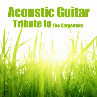 Acoustic Guitar: Tribute to the Carpenters by Acoustic Guitar Tribute Players