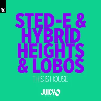 This Is House by Sted-E & Hybrid Heights