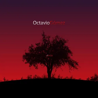 Viento by Octavio Gomez