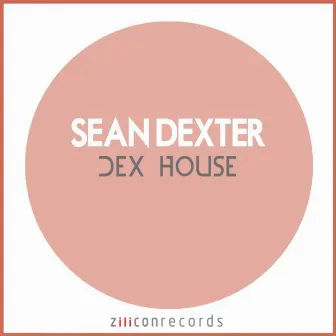 DEX House by Sean Dexter