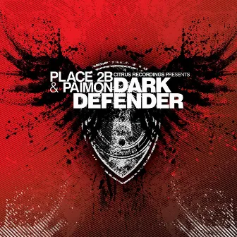 The Dark Defender by Paimon