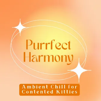 Purrfect Harmony: Ambient Chill for Contented Kitties by Playlist for Early Morning Chill Out