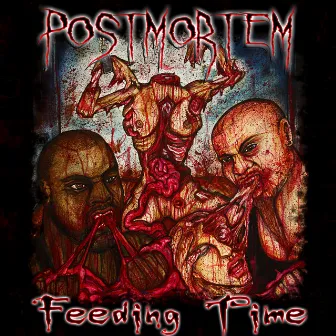 Feeding Time by Post Mortem