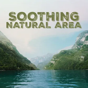 Soothing Natural Area: Beautiful Sounds of Water, Bubbling Brook, Bird, Waterfall, Forest, Mountain Stream by Natural Healing Spa