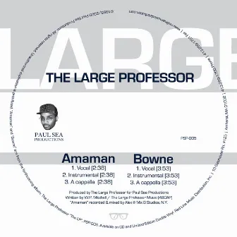 AMAMAN & BOWNE by Large Professor