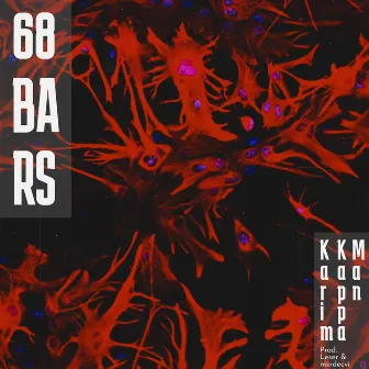 68 BARS by Karim KappaMan