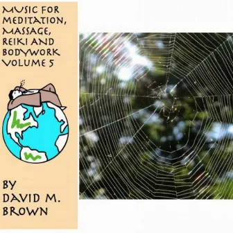 Music for Meditation, Massage, Reiki and Bodywork, Vo. 5 by David M. Brown