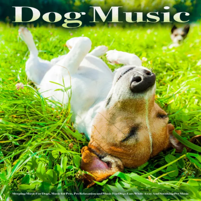 Dog Music: Sleeping Music For Dogs, Music for Pets, Pet Relaxation and Music For Dogs Ears While Away And Soothing Pet Music