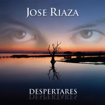 Despertares by Jose Riaza