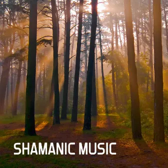 Shamanic Music by Unknown Artist