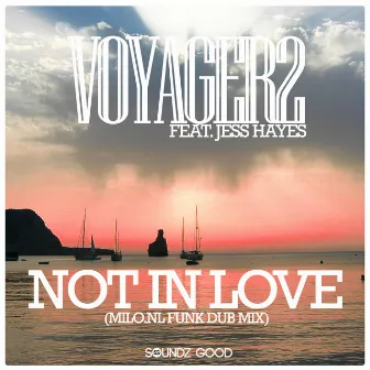 Not In Love (Milo.nl Funk Dub Mix) by Voyager2