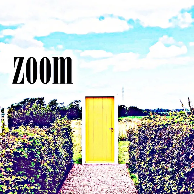 Zoom