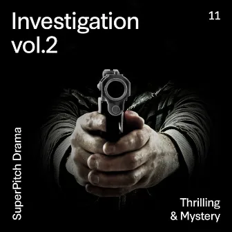 Investigation, Vol. 2 (Thrilling & Mystery) by Victor Galey