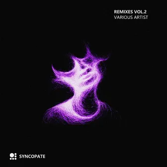 Remixes, Vol. 2 by Fabrizio Murgia