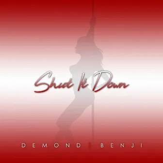 Shut It Down by Demond