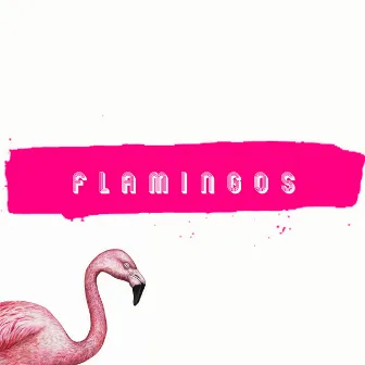 Flamingos by Will Nevreda