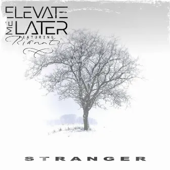 Stranger (Winter Is Coming Remix) by Elevate Me Later