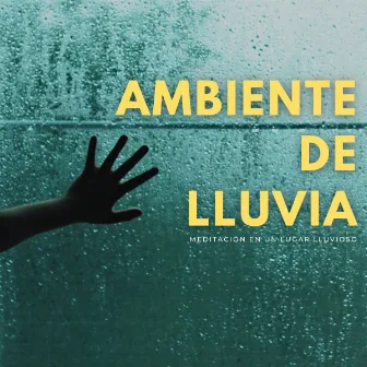 Ambiente De Lluvia: Meditación En Un Lugar Lluvioso by Maestro Zen