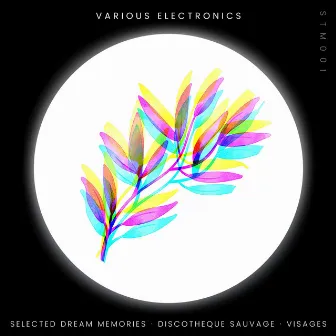 Various Electronics 01 by Selected Dream Memories