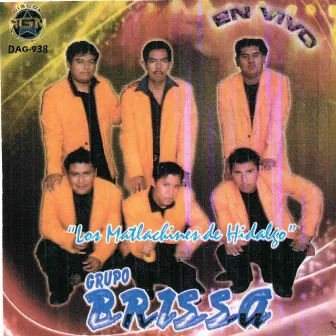 Los Matlachines de Hidalgo by Grupo Brissa