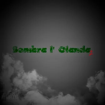 Sembra l'Olanda 2 by Junto